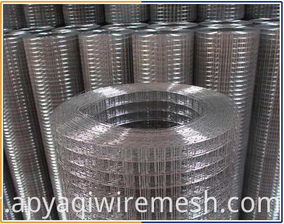 1/2" hot dip electro galvanized welded wire mesh For Protection and Construction